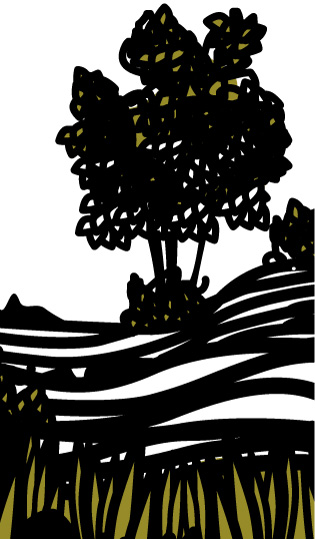 Trees of Lluçanès, illustrated by Montse Noguera